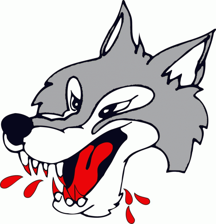 Sudbury Wolves 2009 10-Pres Primary Logo vinyl decal